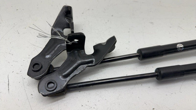 ⭕ 2017-2023 Tesla Model 3 Front Left & Right Hood Lift Shock Strut Support OEM