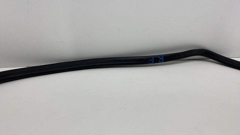 2019-2021 BMW 530e G30 Front Passenger Side Door Weatherstrip Rubber S