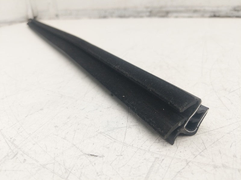 ⭕ 2012-2020 Tesla Model S Front Passenger Side Door Window Inner Belt 