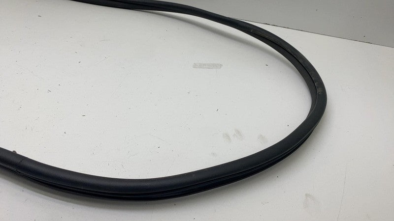 68291607 ⭕ 2019-2025 Ram 1500 Rear Left Door Body Weatherstrip Rubber Seal OEM 68291607