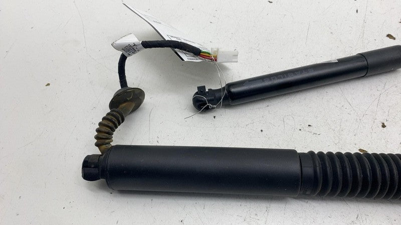 ⭕ 17-23 Model 3 Rear Left & Right Trunk Tailgate Strut 1551488-98-B/15