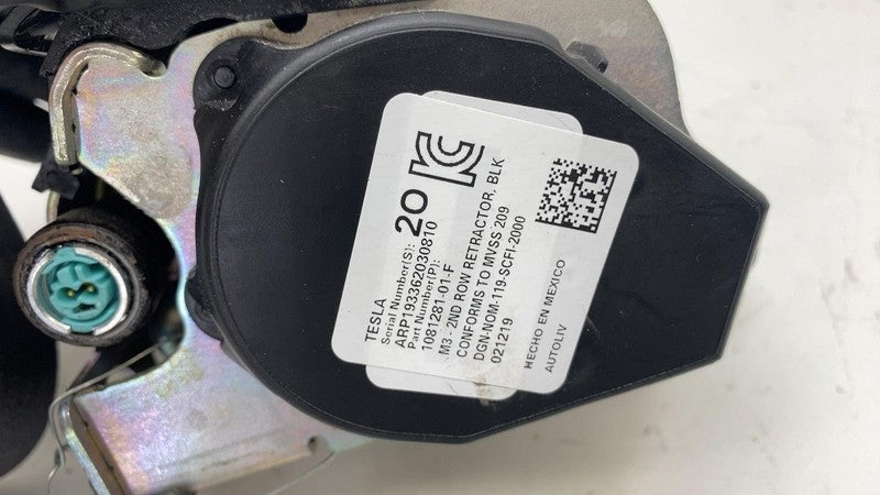 ⭕ 2017-2023 Tesla Model 3 Rear Right 2nd Row Seatbelt & Retractor 1081
