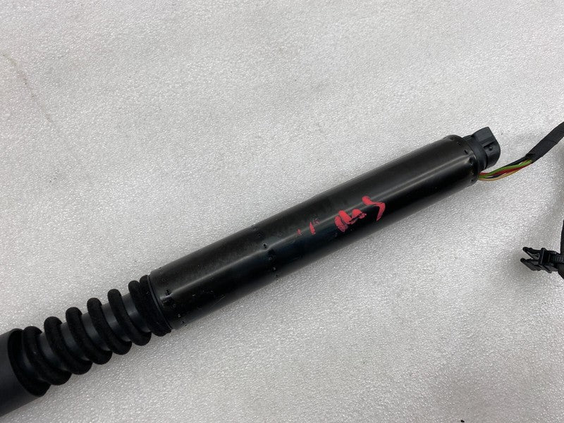 106344100C ⭕16-23 Model X Rear Left/Right Secondary Falcon Door Lift Gas Strut 1063441-00-C
