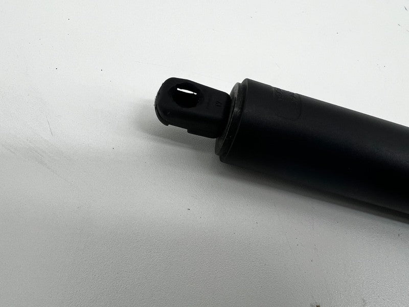 ⭕ 2012-2025 Tesla Model S Rear Left Liftgate Trunk Spring Strut LH 600