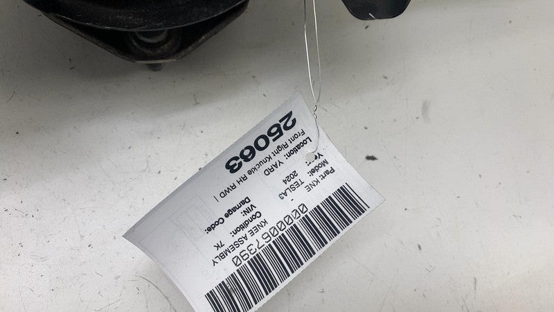 ⭕ 24-25 Model 3 Front Right Spindle Knuckle Wheel Hub & Dust Shield 13