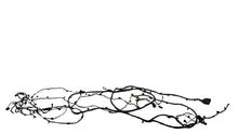⭕ 2022 Rivian EDV-700 Wiring Harness Cable Wire Assy PT00058591-D / C200050266-E