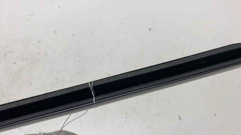 156223 2020-2024 Tesla Model Y MY Rear Driver Door Window Outer Belt Seal Molding Left