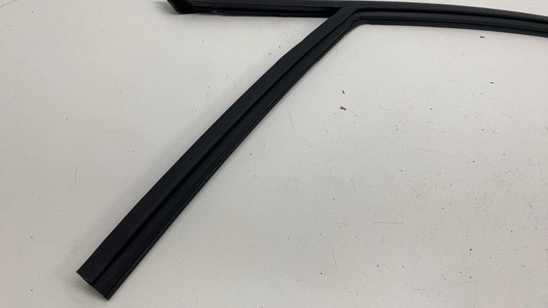 LJ8BR21511A ⭕ 21-24 Mustang Mach-E Front Left Door Window Glass Channel Seal LJ8B-R21511-A