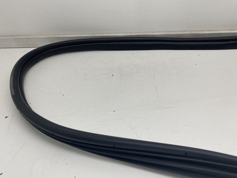 ⭕ 22-24 Hyundai Ioniq 5 Rear Passenger Side Door Weatherstrip Rubber Seal Right
