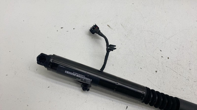 ⭕16-23 Model X Rear Left/Right Secondary Falcon Door Liftgate Strut 10