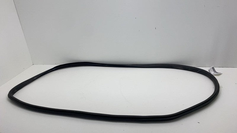 2020-2023 Tesla Model Y MY Front Driver Left Door Body Weatherstrip Rubber Seal