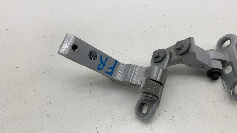 31662685 ⭕ 21-23 Polestar 2 Rear Passenger Side Right Door Hinge Upper & Lower 31662685