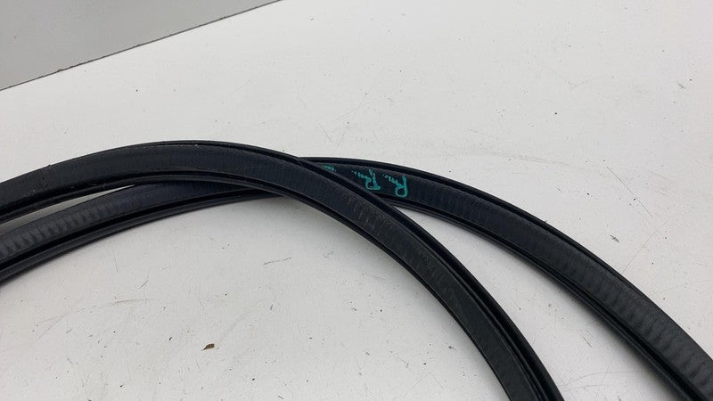 31662570 ⭕ 21-23 Polestar 2 Rear Driver Side Door Body Weatherstrip Seal Left LH 31662570