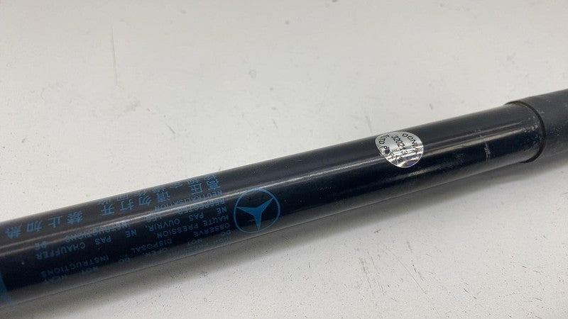 A2429800564 ⭕ 14-17 Mercedes-Benz B-Class Front Left & Right Hood Strut Damper A2429800564