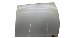 2013-2020 Tesla Model S Complete Roof w/ Outer Trim Seal Assembly OEM