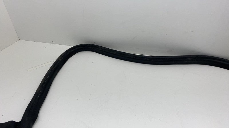 2017-2023 Tesla Model 3 Front Passenger Door Primary Weatherstrip Seal Right RH