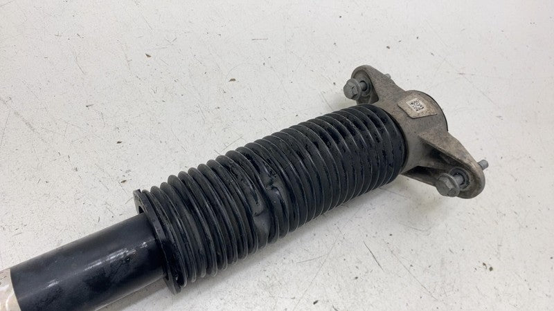 ⭕ 17-23 Model 3 Rear Left or Right Shock Strut Absorber Damper AWD 104