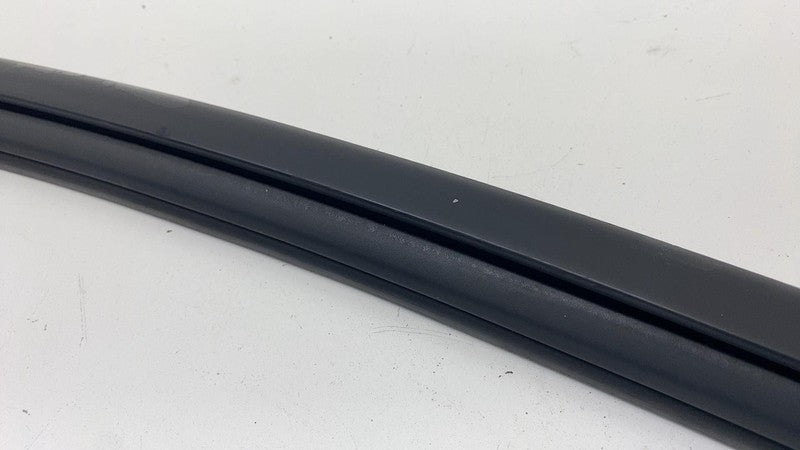 LJ8BR21511A ⭕ 21-24 Mustang Mach-E Front Left Door Window Glass Channel Seal LJ8B-R21511-A