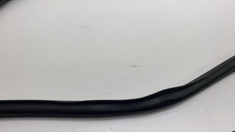 2017-2023 Tesla Model 3 Front Passenger Door Primary Weatherstrip Seal Right RH