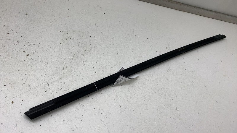 156223 2020-2024 Tesla Model Y MY Rear Driver Door Window Outer Belt Seal Molding Left