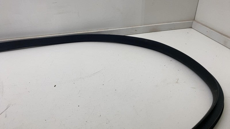 ⭕ 2020-2022 Tesla Model Y Front Driver Side Door Weatherstrip Rubber S