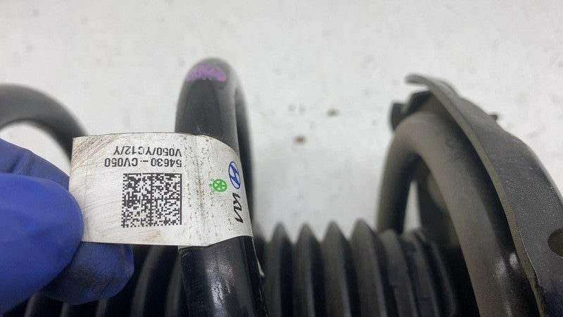 2022 2023 2024 Kia EV6 Driver Side Shock Strut Absorber w/ Coil Spring