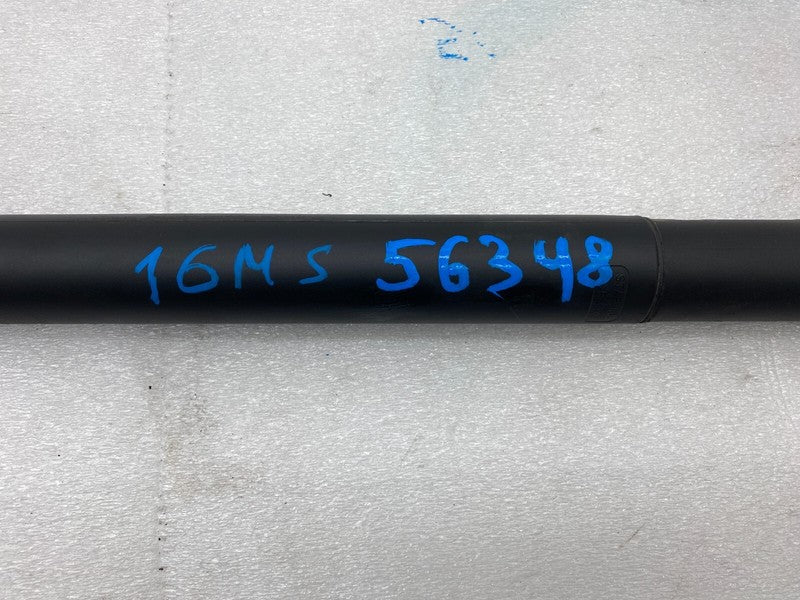 6006610 00 B ⭐️2012-2020 Tesla Model S Rear Liftgate Trunk Lid Power Shock Strut 6006610-00-B
