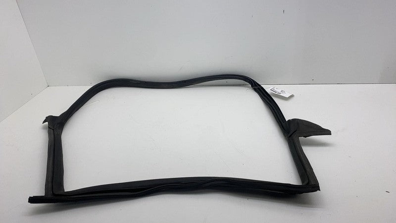 2017-2023 Tesla Model 3 Rear Passenger Right Door Body Weatherstrip Rubber Seal