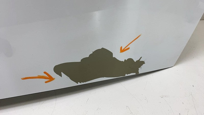 2013-2020 Tesla Model S Complete Roof w/ Outer Trim Seal Assembly OEM