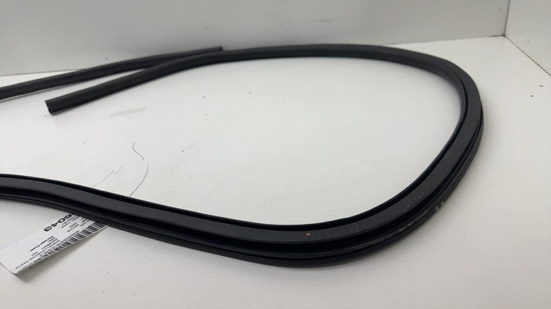 ⭕ 21-24 Mustang Mach-E Front Passenger Right Door Body Weatherstrip Rubber Seal