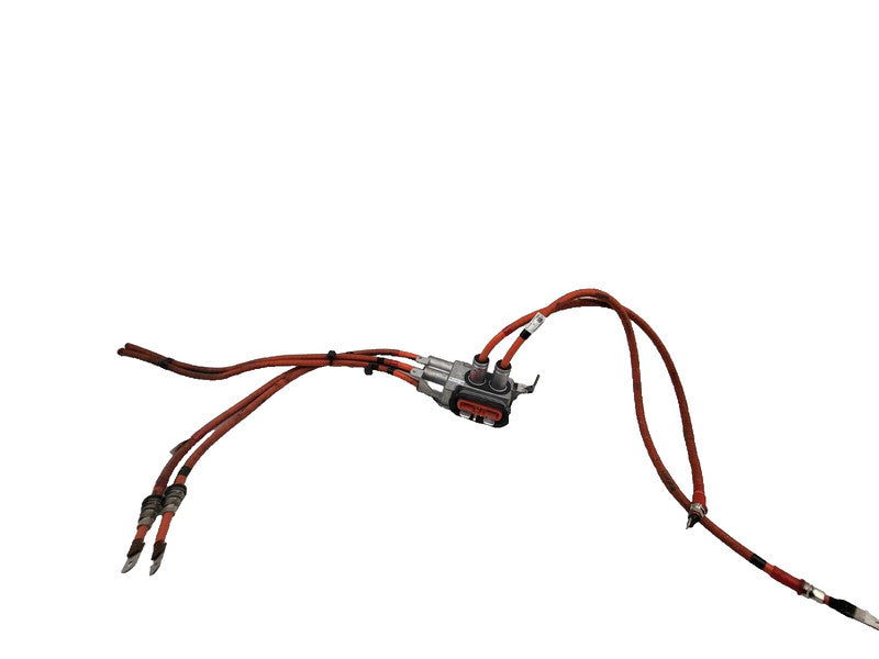 106260010B ⭕2012-2020 Model S Rapid Splitter Battery Port & Wire Cable Harness 1062600-10-B
