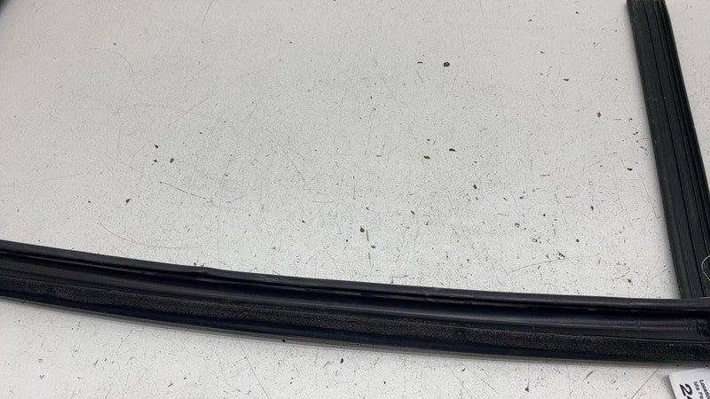 148404100D ⭕ 2016-2024 Tesla Model X Rear Driver Side Door Window Seal Left LH 1484041-00-D