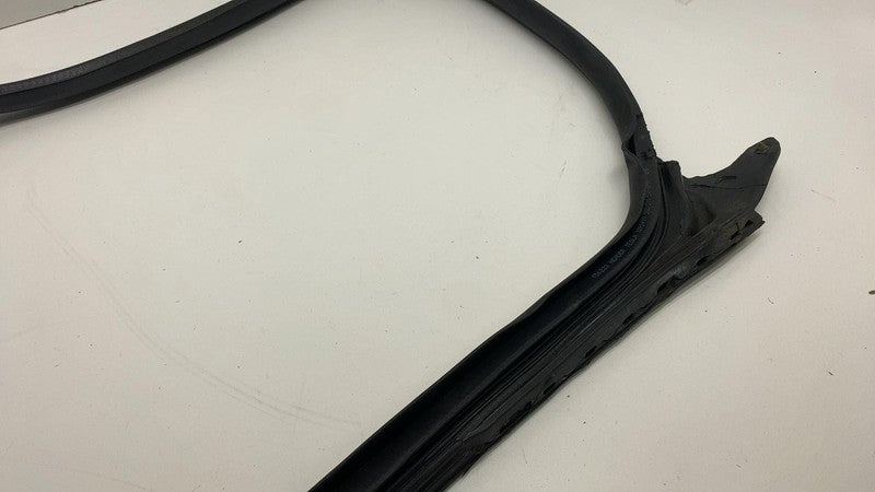 2017-2023 Tesla Model 3 Front Passenger Door Primary Weatherstrip Seal Right RH