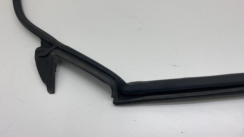 2017-2023 Tesla Model 3 Rear Driver Side Left Door Primary Weatherstrip Seal OEM