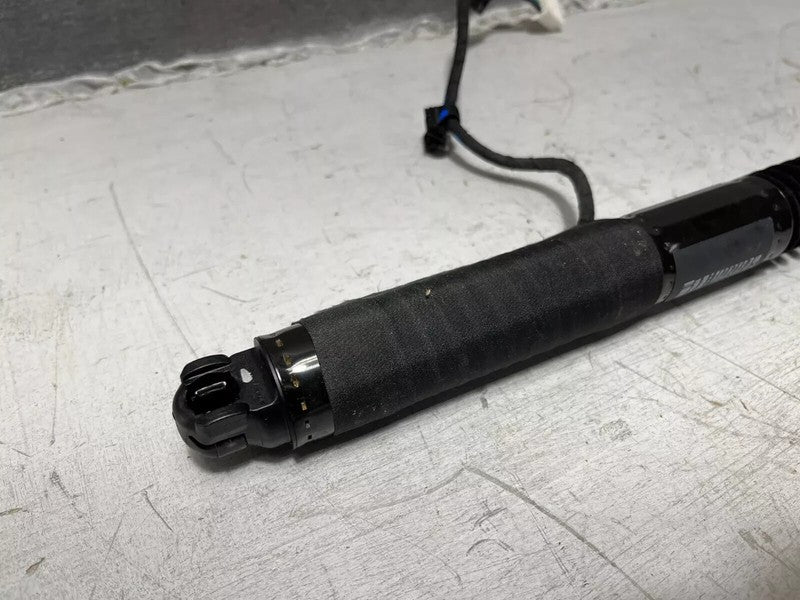 ⭕ 16-25 Model X MX Rear Left/Front Right Primary Falcon Door Strut 106