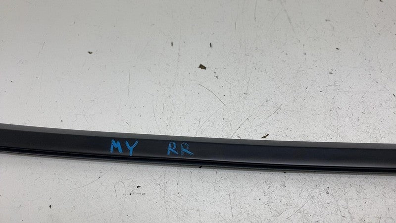⭕ 2020-2024 Tesla Model Y MY Rear Right Side Door Window Seal Molding Belt Strip