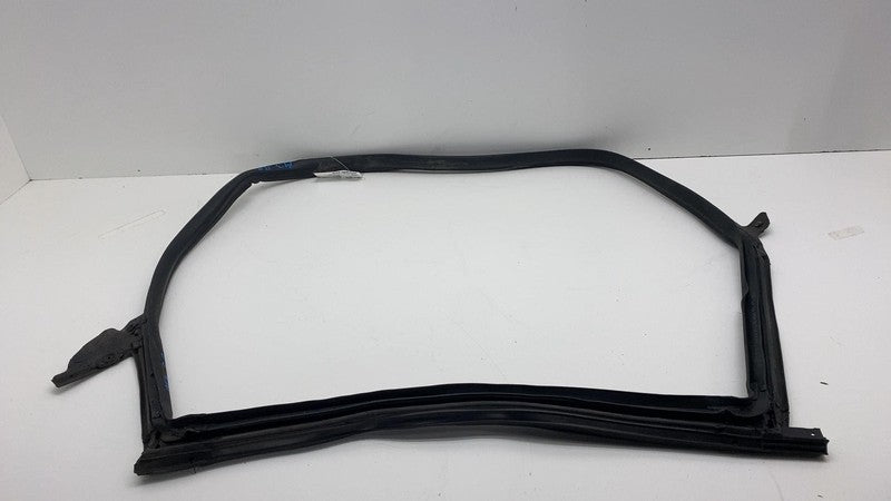 2017-2023 Tesla Model 3 Rear Passenger Right Door Body Weatherstrip Rubber Seal