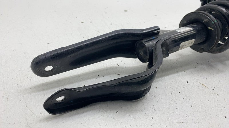 ⭕ 20-24 Tesla Model Y Front Left Shock Strut Absorber w/ Spring & Uppe