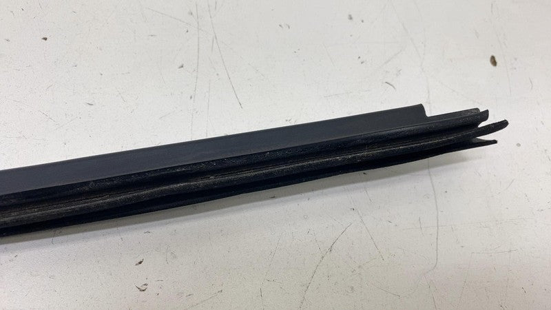 ⭕ 2012-2020 Tesla Model S Front Right Door Window Inner Belt Weatherst