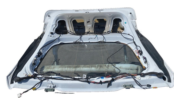 ⭕ 16-20 Model S MS Rear Tailgate Panel w/ Liftgate Glass White PPSW 6007205-01-J