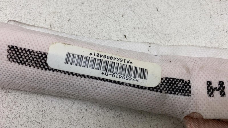 ⭕ 12-20 Tesla Model S Driver Side Roof Curtain Safety Airbag Left 1005