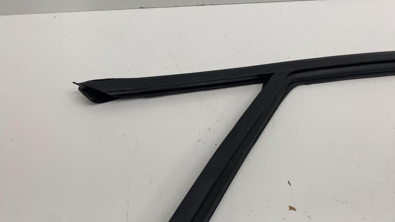 LJ8BR21511A ⭕ 21-24 Mustang Mach-E Front Left Door Window Glass Channel Seal LJ8B-R21511-A