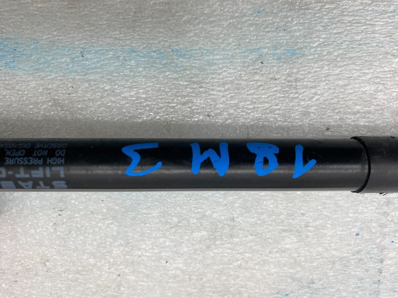 1091472 00 B ⭕ 17-22 Model 3 Front Left or Right Hood Shock Strut Lift Support 1091472-00-B