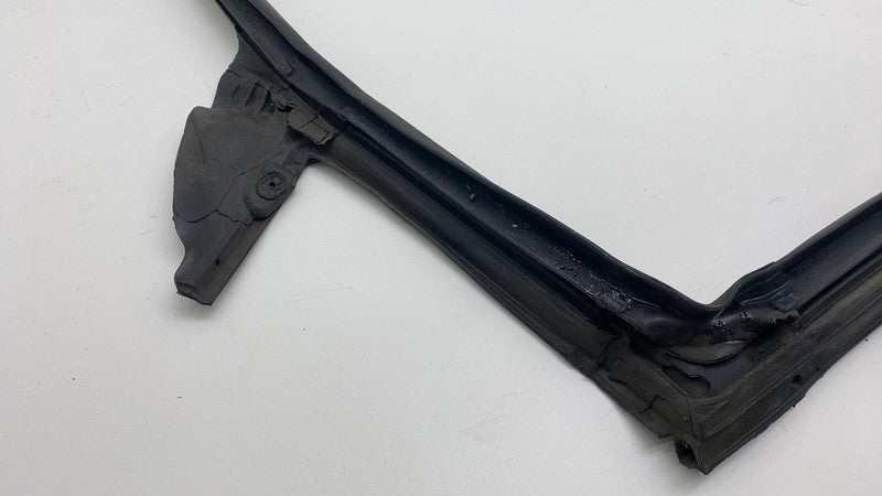 2017-2023 Tesla Model 3 Rear Passenger Right Door Body Weatherstrip Rubber Seal