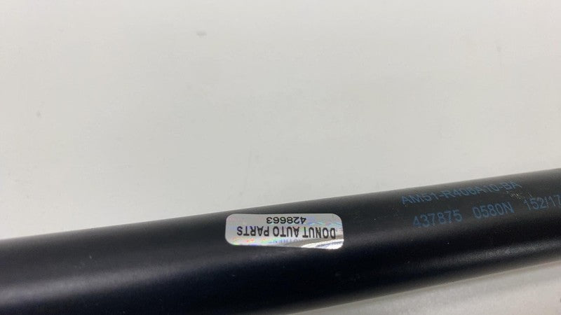 AM51 R406A10 BA 2013-2018 Ford C-Max PAIR of Rear Trunk Hatch Liftgate Gas Spring Lift Support