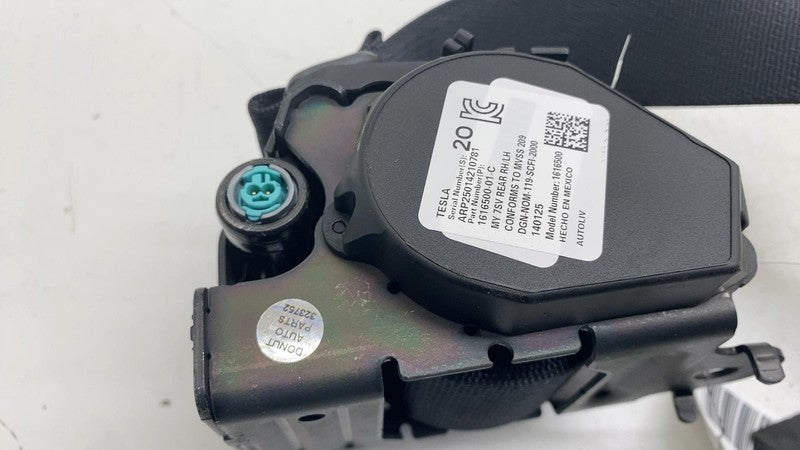 ⭕ 20-24 Model Y MY Rear Left or Right 2nd Row Seat Belt & Retractor 16