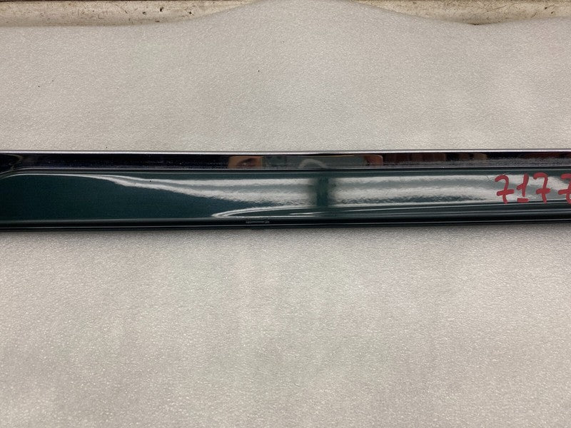 101221500C ⭕ 12-25 Model S Driver Side Rocker Panel Scuff Plate Molding Left 1012215-00-C