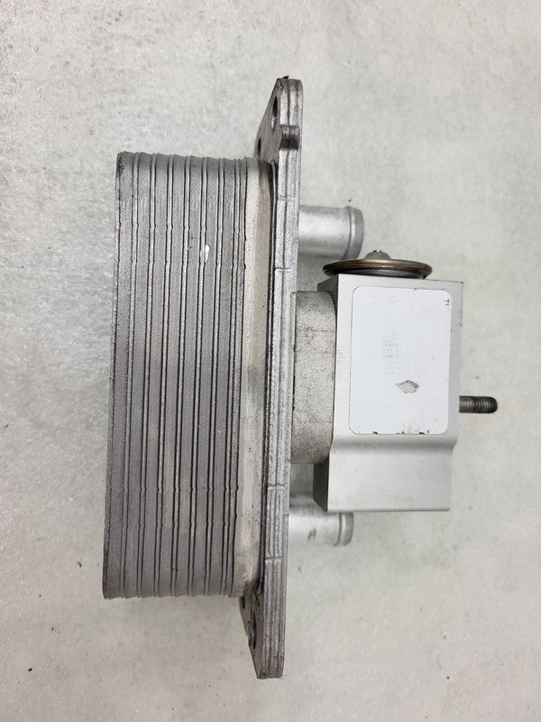 102117900A ⭕ 12-15 Model S High Voltage TXV Battery Chiller Valve w/o Solenoid 1021179-00-A