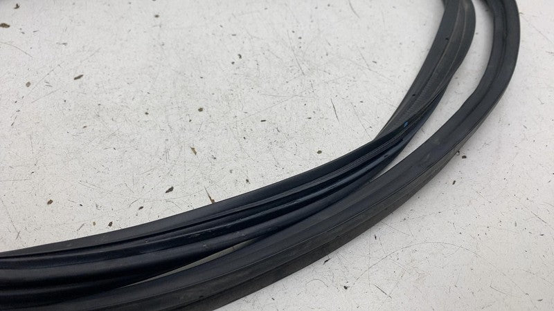 ⭕2023-2025 Toyota Prius Rear Liftgate Tailgate Body Weatherstrip Rubbe