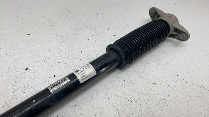 ⭕ 20-24 Model Y Rear Left or Right Shock Strut Absorber Damper AWD 118